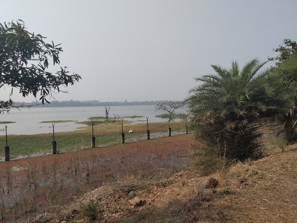 bhopal-uper-lake-encrochment