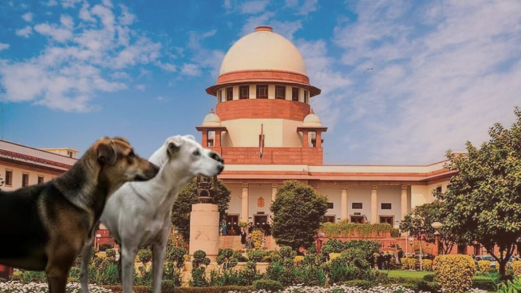 supreme-court-and-street-india